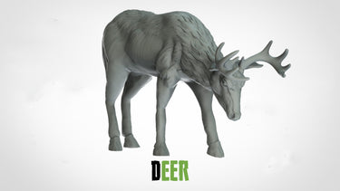 Deer